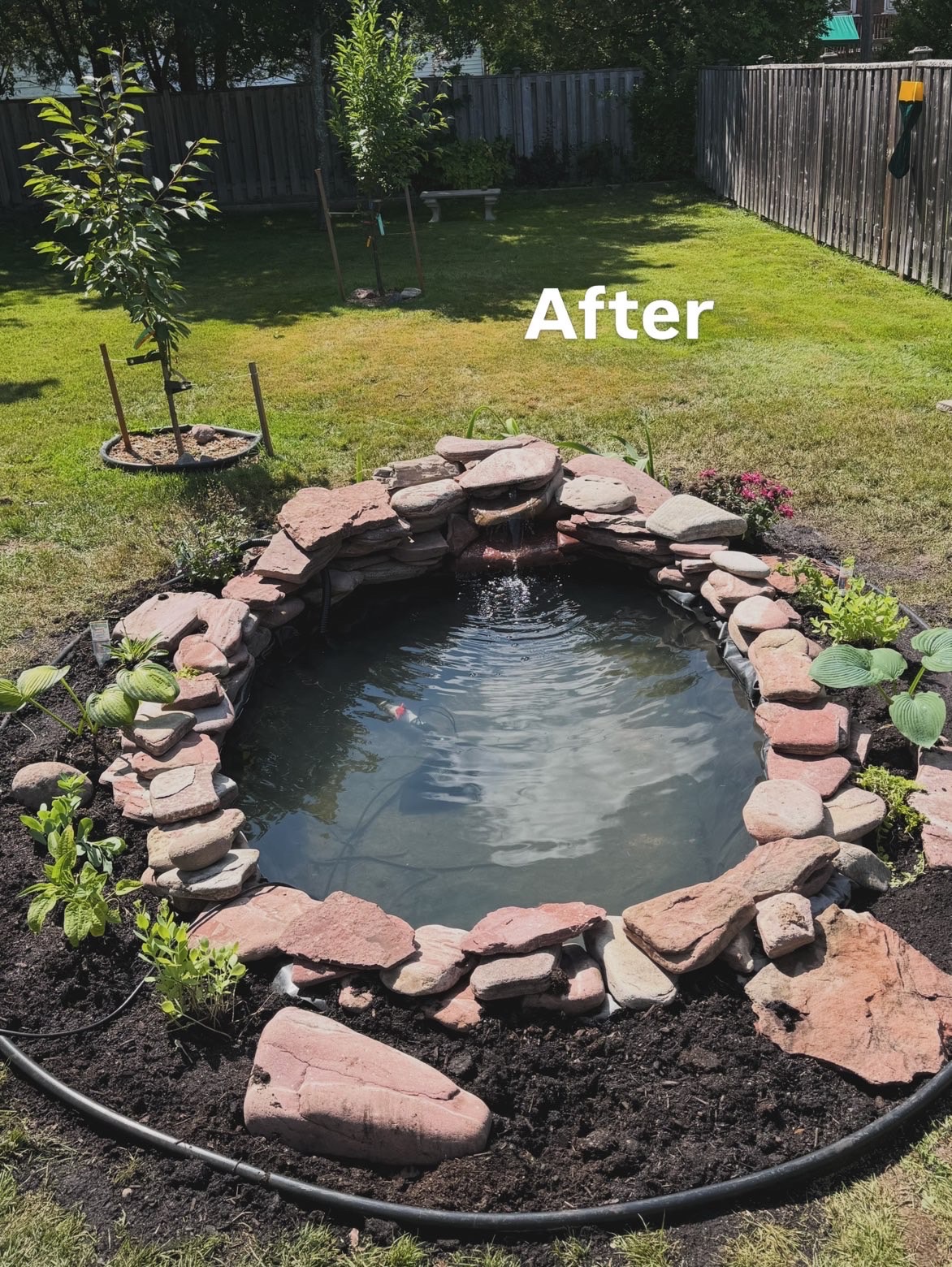 Custom backyard pond, stonework and garden bed
